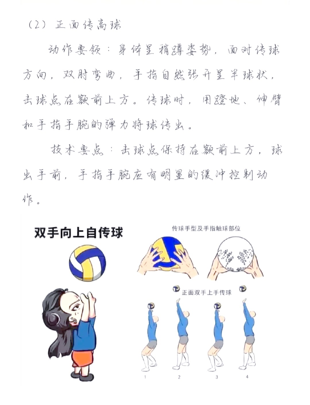 如何设计适合不同年龄段的传球训练方案？